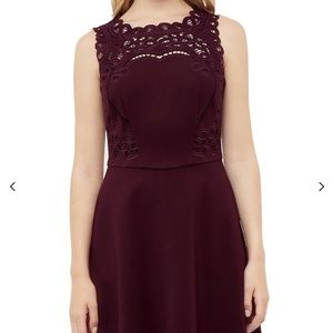 Ted Baker Embroidered Skater Dress NWT